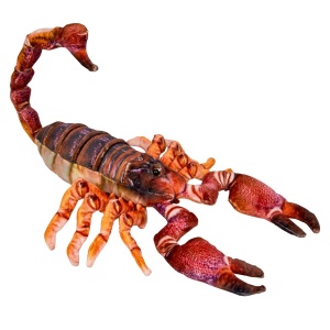 Nature Zoom Wild Plüsch Skorpion